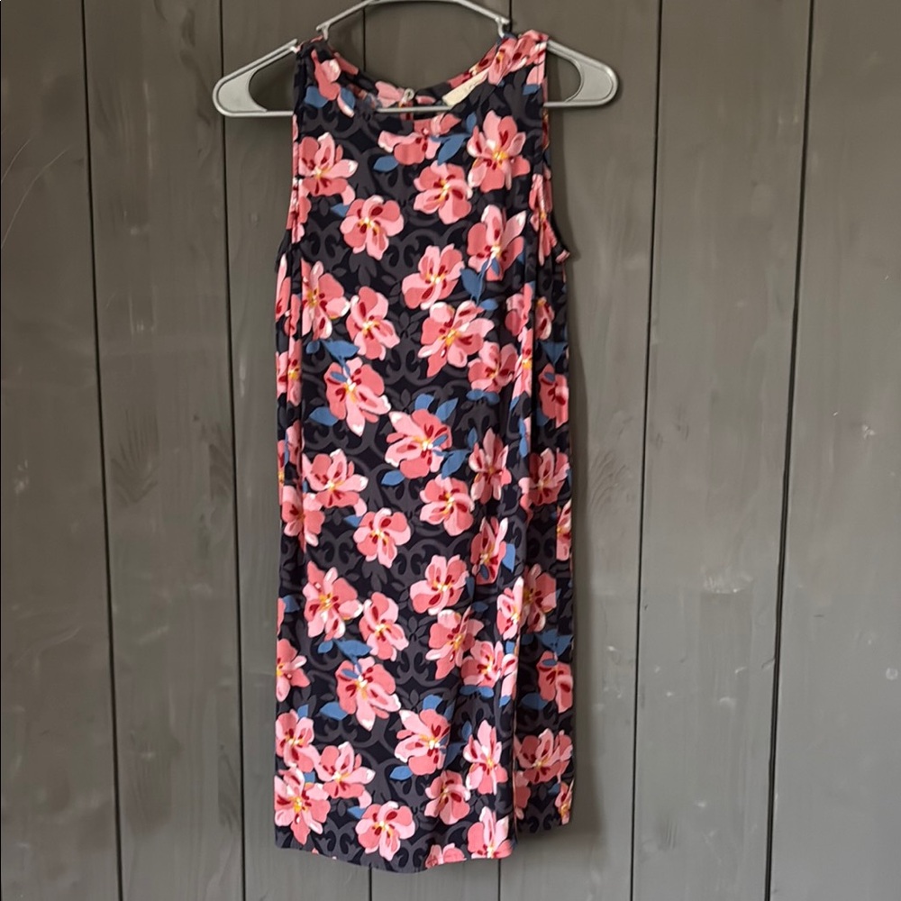 LOFT Pink and Blue Floral Dress
